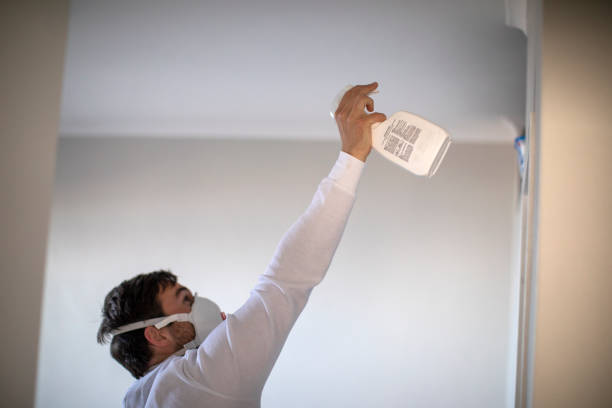 Best Best Mold Removal Companies  in Bellefonte, DE