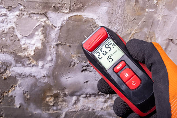 Best Professional Mold Removal  in Bellefonte, DE