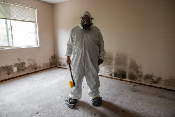 Best Crawl Space Mold Removal  in Bellefonte, DE